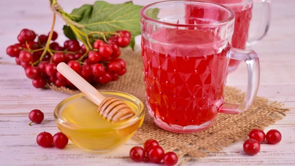 Gilaburu Meyvesi: Doğanın Böbrek Dostu Mucizesi