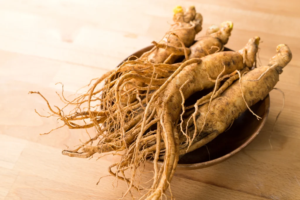 Ginseng Bitkisi: Faydaları, Türleri, Kullanımı ve Besin Değerleriyle A’dan Z’ye Kapsamlı Rehber