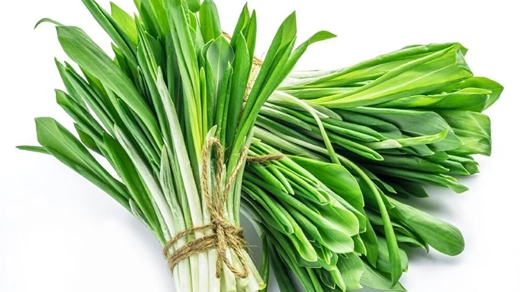 Çiriş Otu Doğanın Saklı Şifa Kaynağı