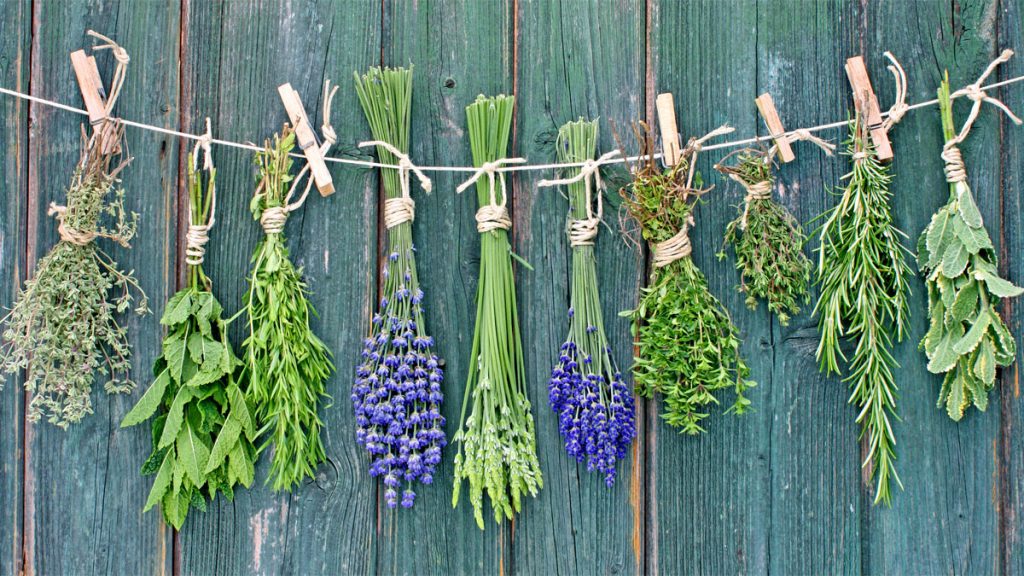 Bahar Yorgunluğunun Reçetesi: Bitkilerle Gelen Canlılık