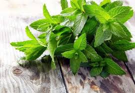 Unutkanlığa ne iyi gelir? Hafızayı güçlendiren 6 şifalı bitki