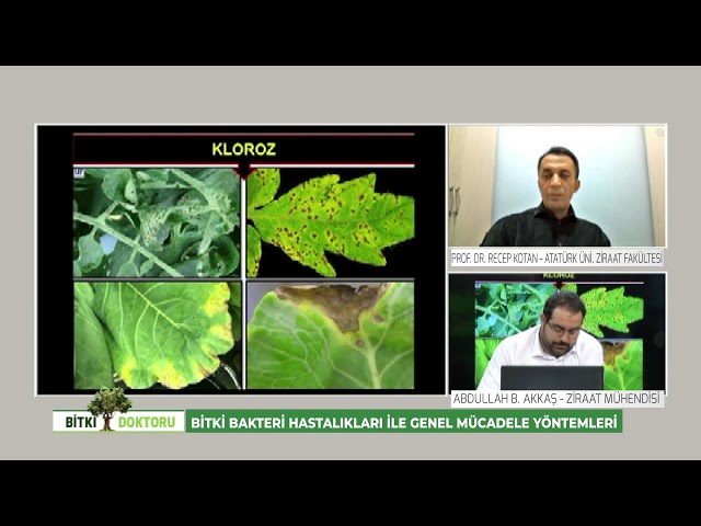 Bitki Bakteri Hastalıkları ile Genel Mücadele Yöntemleri – Video