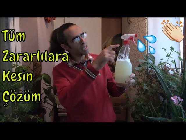 Çiçek Hastalık ve Zararlıları ile En Kolay Mücadele – Video
